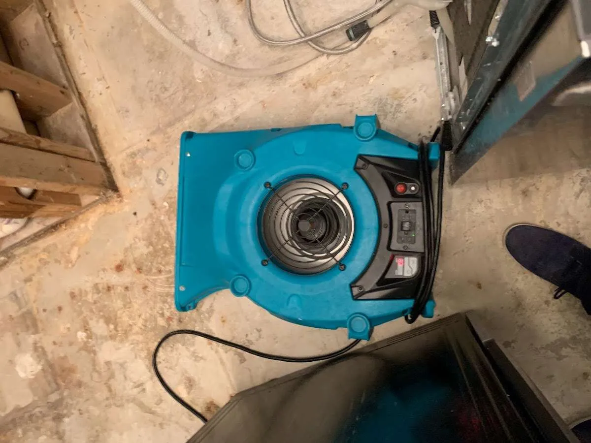 Air mover drying equipment for Mold Remediation & Removal in West Rancho Dominguez